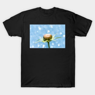 Cosmos Flower Bud T-Shirt